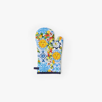 CQ Mediterranean Oven Mitts (Set of 2)